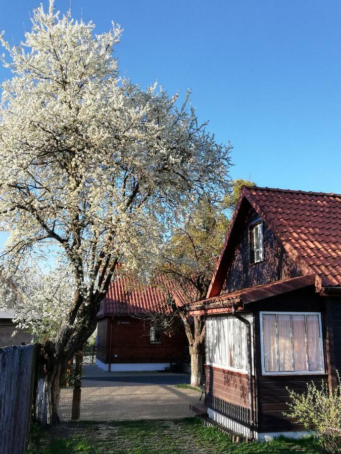 Domek Zapiecek Białowieża Eksteriør billede